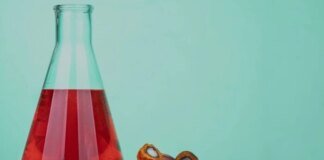 Пальмова олія та рак: вчені встановили зв’язок