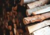 Дрова подорожчали на 20% перед зимою: скільки коштують та які є альтернативи
