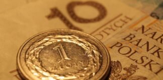 НБУ трохи підвищив курс злотого на 24 листопада