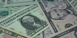 Долар і євро подорожчали в обмінниках