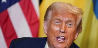 Міністр закордонних справ Данії різко відреагував на вимогу Трампа про Гренландію