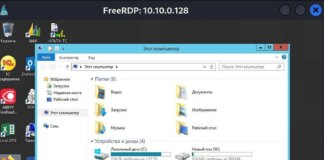 Деактивовано понад 700 компʼютерів та серверів: кіберкорпус ГУР атакував провідну логістичну компанію рф