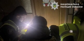 Киянку на Оболоні вкусив вовк, якого вона тримала в квартирі: поліція виявила у житлі й труп лисиці і розслідує жорстоке поводження