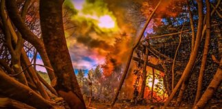 На фронті з початку доби – 52 бойові зіткнення: найінтенсивніші бої тривають на кількох напрямках