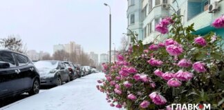 В Україні хмарно з проясненнями: погода на 25 грудня 2025