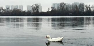 В Україні хмарно: погода на 20 грудня