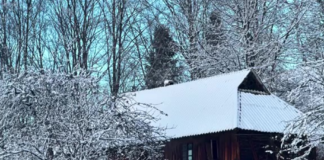 Українка купила гнилу хату далеко від цивілізації, але їй всі заздрять (фото)