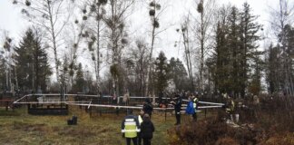 Вбивство іноземця у Бучанському районі: поліція затримала підозрюваних у розстрілі