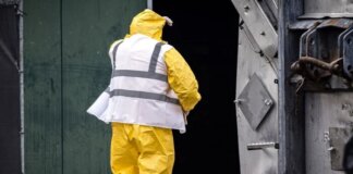 У Нідерландах епідемія пташиного грипу: знищено 100 тисяч курей