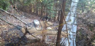 Не виглядає цивільним: у Румунії мисливець знайшов дрон із парашутом