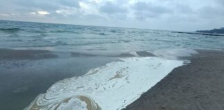 “Це екологічна катастрофа”: експерт розповів звідки в Одеській затоці з’явились плями (фото)