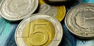 Нацбанк знизив курс злотого на 6 копійок