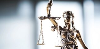 Провів окупантів на позиції ЗСУ та дивився, як відбулася засідка: помічнику лісничого повідомили про підозру