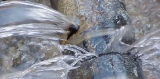 Ніхто не ритиме вигрібні ями: Київводоканал спростовує фейки про замерзання каналізації на Троєщині