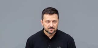 Зеленський обговорив з канцлером Австрії вступ до ЄС до 2027 року