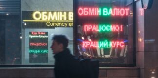 Валюти в Україну надходить менше, ніж у 2024-му: нові дані НБУ