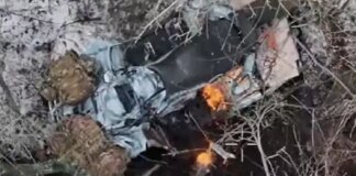 Українські Сили оборони показали розгром чотирьох взводів росіян на Покровському напрямку