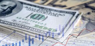 Долар стабільний, євро додає в ціні: який курс в обмінниках та банках на 26 лютого