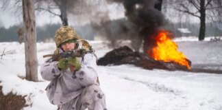 Біля Покровська тривають запеклі бої за Гришине, у селищі залишаються цивільні – ДШВ