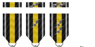 В Україні запровадили нову військову відзнаку за успіхи у РЕБ