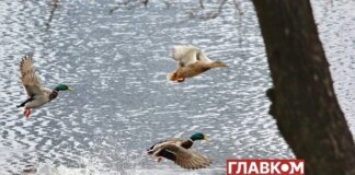 В Україні місцями дощитиме: погода на 24 березня