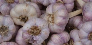 Китайський часник заполонив ринок України: виробники б’ють на сполох