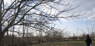 На Київщині літній чоловік загинув, спалюючи суху траву