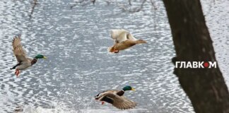 В Україні хмарно, але без опадів: прогноз погоди на 21 березня 2026