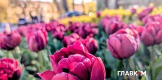 Чи чекати тепла на початку травня? Прогноз синоптикині Діденко