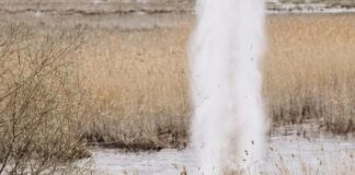 Ворог здійснив 194 атаки та запустив майже чотири тисячі дронів – Генштаб про ситуацію на фронті