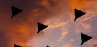 рф запустила 144 ударних дрони: Повітряні сили знищили понад 120 цілей, є влучання на 11 локаціях