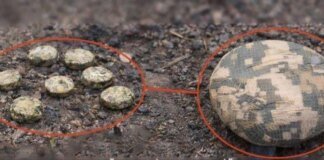 Ворог дистанційно замінував територію біля школи в Херсоні – мер