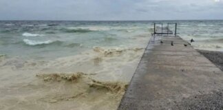 Забруднення Чорного моря олією – еколог пояснив наслідки удару рф по портовій інфраструктурі