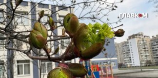 В Україні вітряно та місцями дощитиме: прогноз погоди на 6 квітня 2026