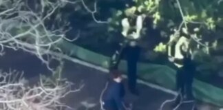 Халатність патрульних під час теракту у столиці: відкрито кримінальне провадження