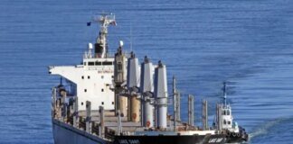 До Ізраїлю прибуло ще одне судно з краденим українським зерном