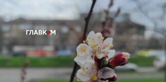 В Україні без опадів: прогноз погоди на 22 квітня 2026