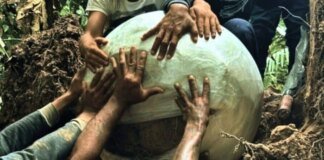 У джунглях Бразилії археологи знайшли величезні кулі: їхній вміст шокував науковців