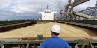 Україна просить Ізраїль про правову допомогу щодо судна із краденим зерном, – джерела