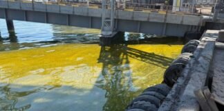 Через удари РФ у порту Одещини вилились тисячі тонн олії, у морі – величезна пляма