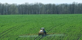 Війна в Ірані вдарила по аграріях в Україні: фермери скорочують посіви