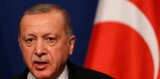 Ердоган намагається відновити прямий діалог між Україною та Росією