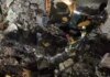 Кількість загиблих унаслідок нічної атаки на Київ зросла до 21