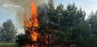 Атаки рф на Чернігівщину та Сумщину пошкодили інфраструктуру, сталася масштабна природна пожежа