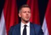 Навіщо Петер Мадяр порушує питання угорців в Україні: пояснення експерта