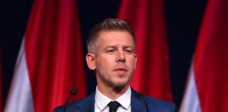 Навіщо Петер Мадяр порушує питання угорців в Україні: пояснення експерта