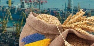 Будапешт відкрив ринок для української агропродукції