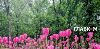 В Україні до +25°, місцями дощі з грозами: погода на 9 травня 2026