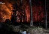 Масштабна пожежа в Зоні відчуження: вогонь охопив 1200 гектарів лісу