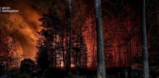 Масштабна пожежа в Зоні відчуження: вогонь охопив 1200 гектарів лісу